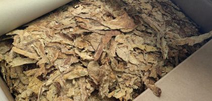 tobacco and jute